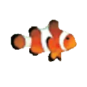Clownfish Voice Changer
