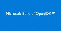 Microsoft Build of OpenJDK with Hotspot 11