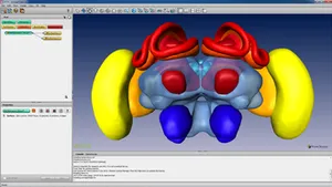 Thermo Scientific TM Amira-Avizo 2D Software